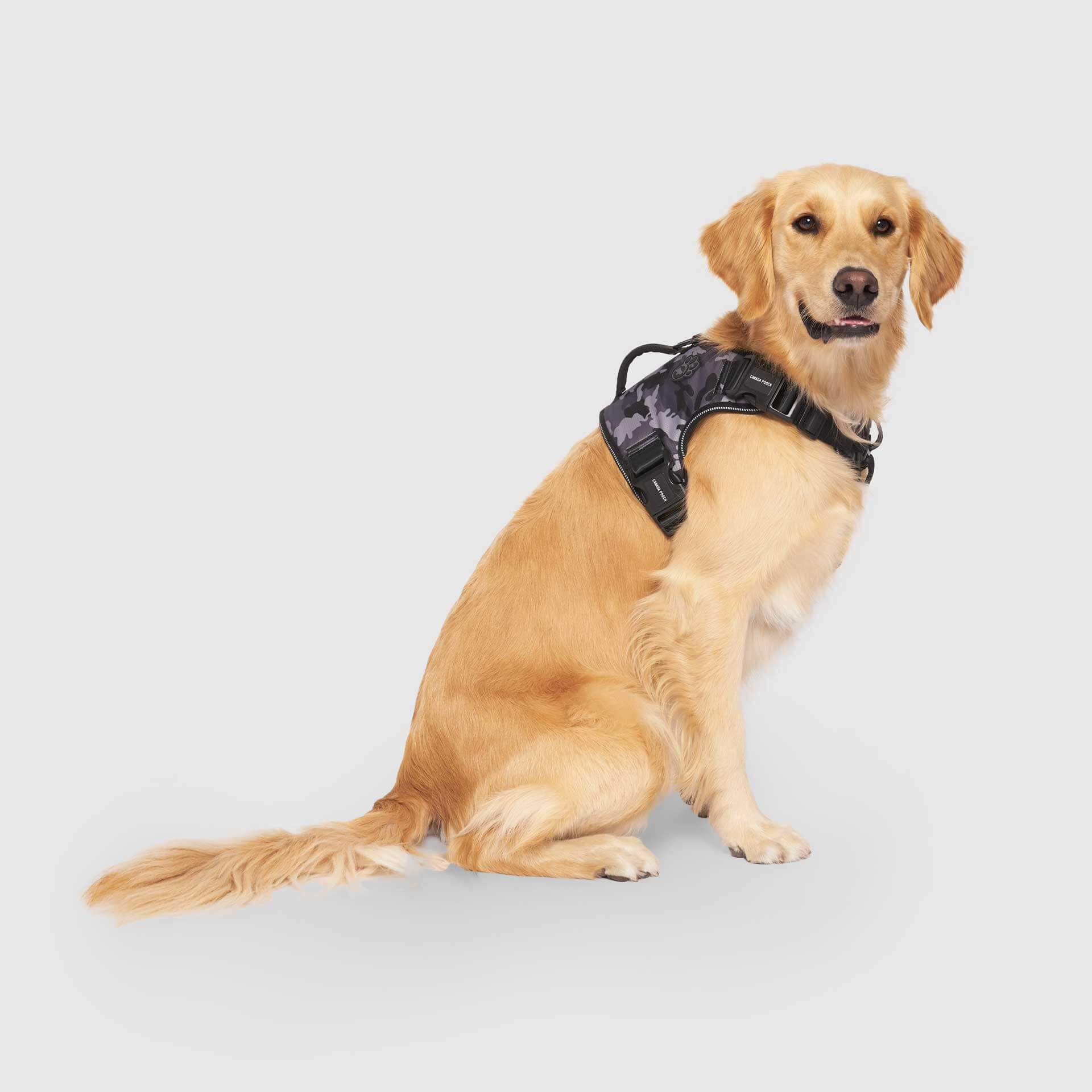 Complete Control Harness