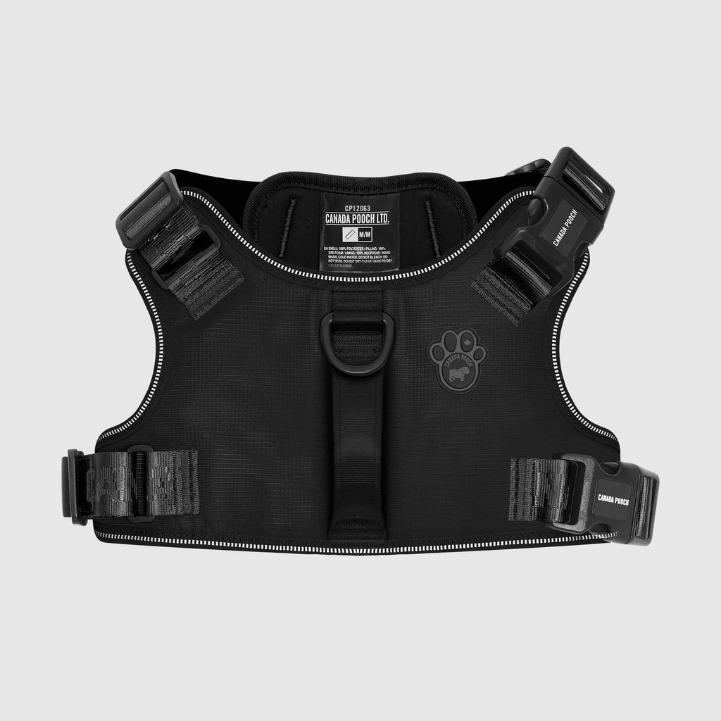 Complete Control Harness