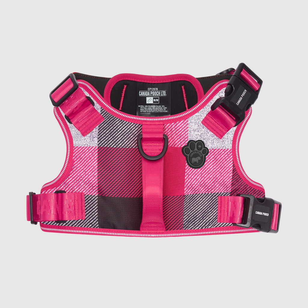 Complete Control Harness