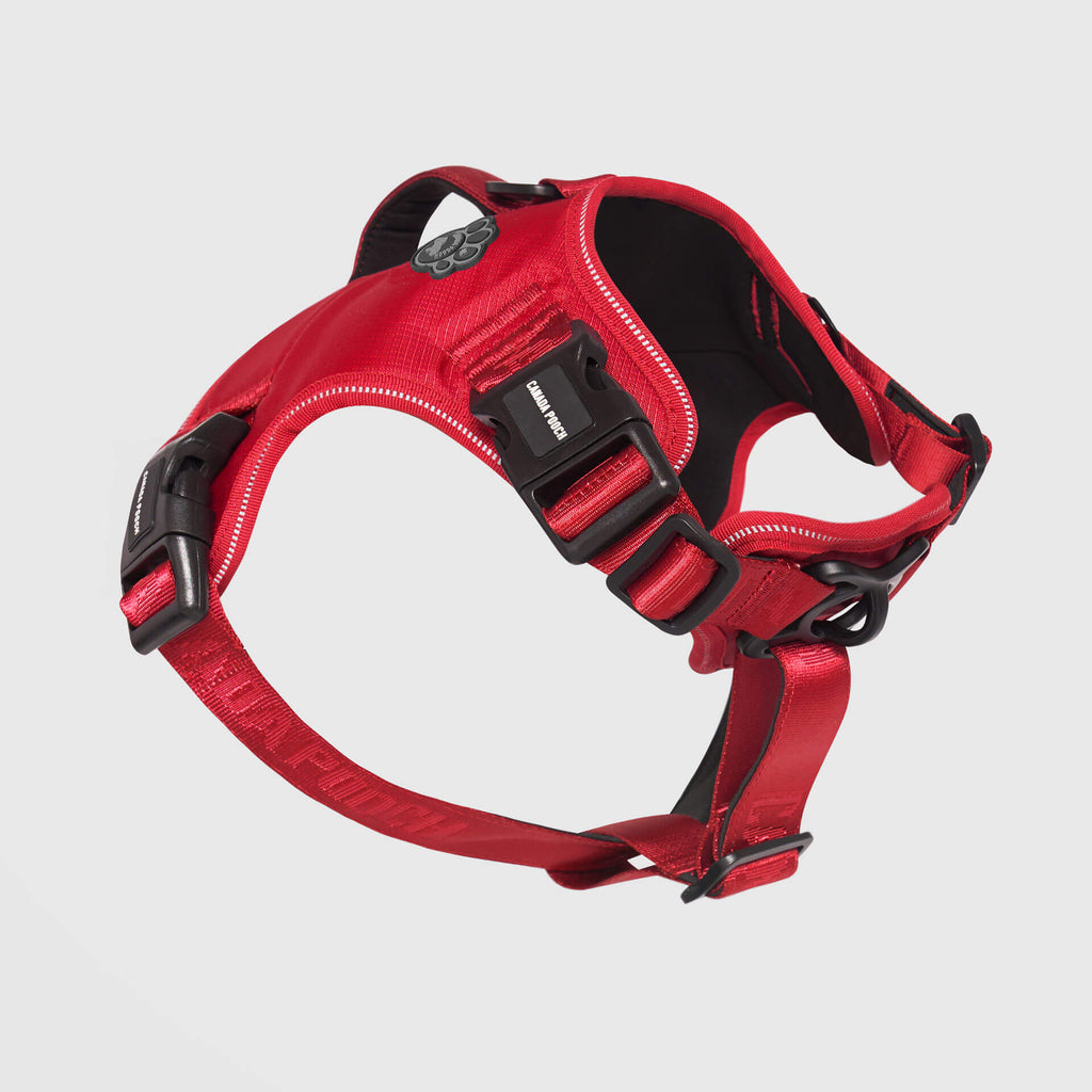 Complete Control Harness