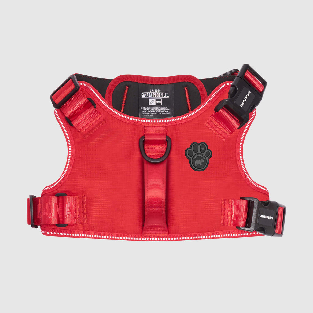 Complete Control Harness