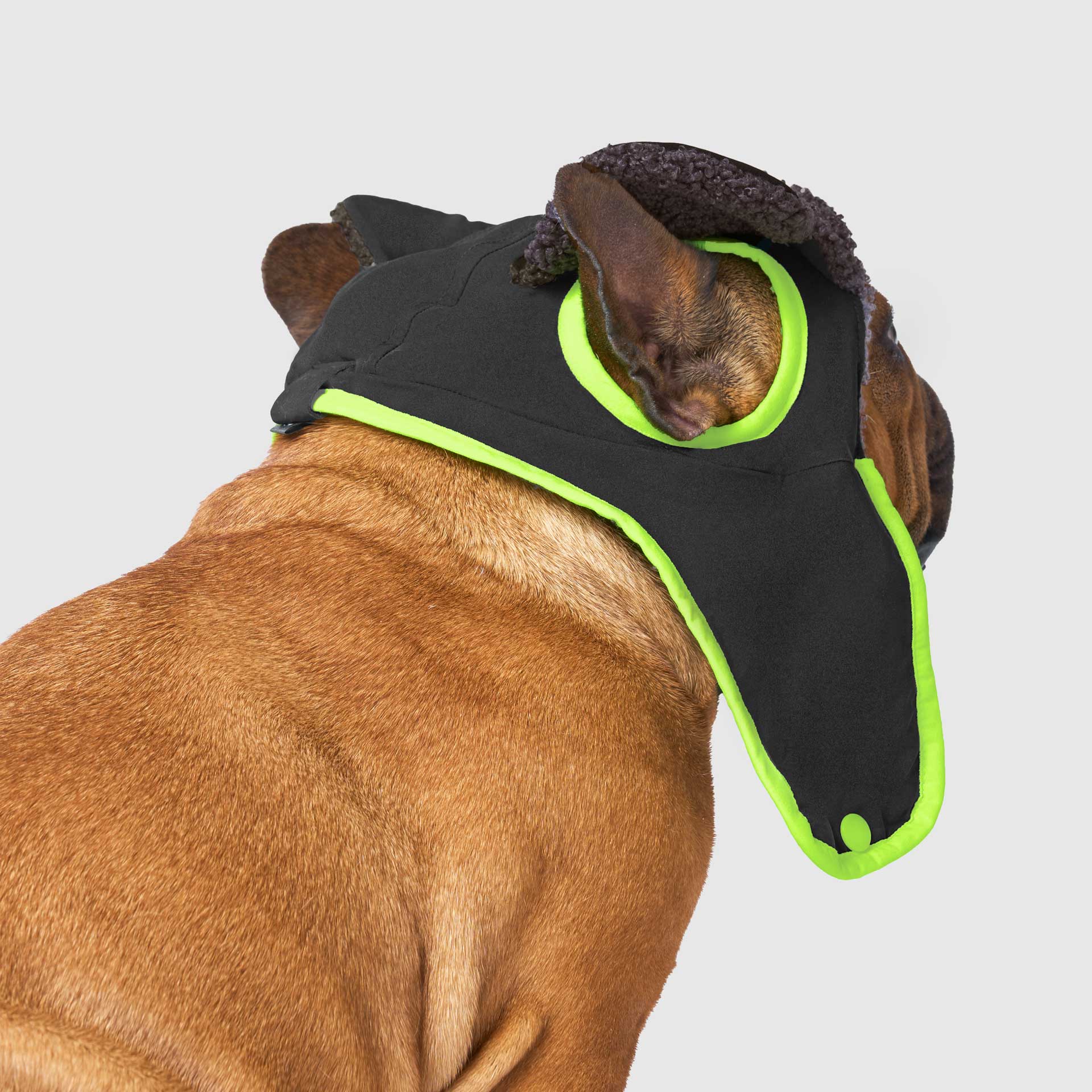 Cool Factor Aviator Hat
