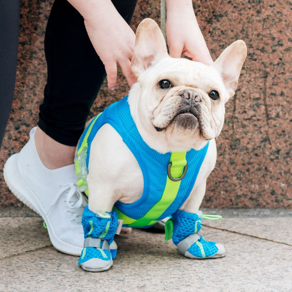 Hot Pavement Boots