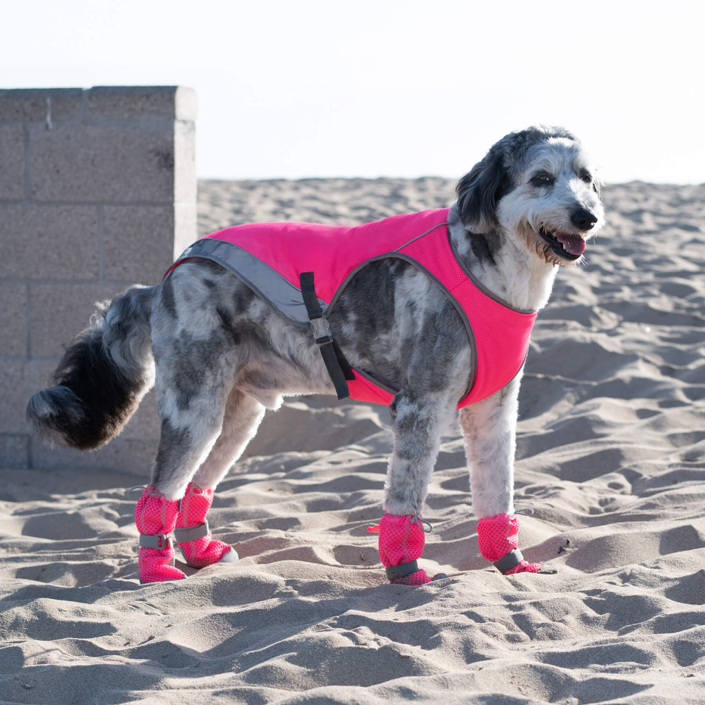 Hot Pavement Boots