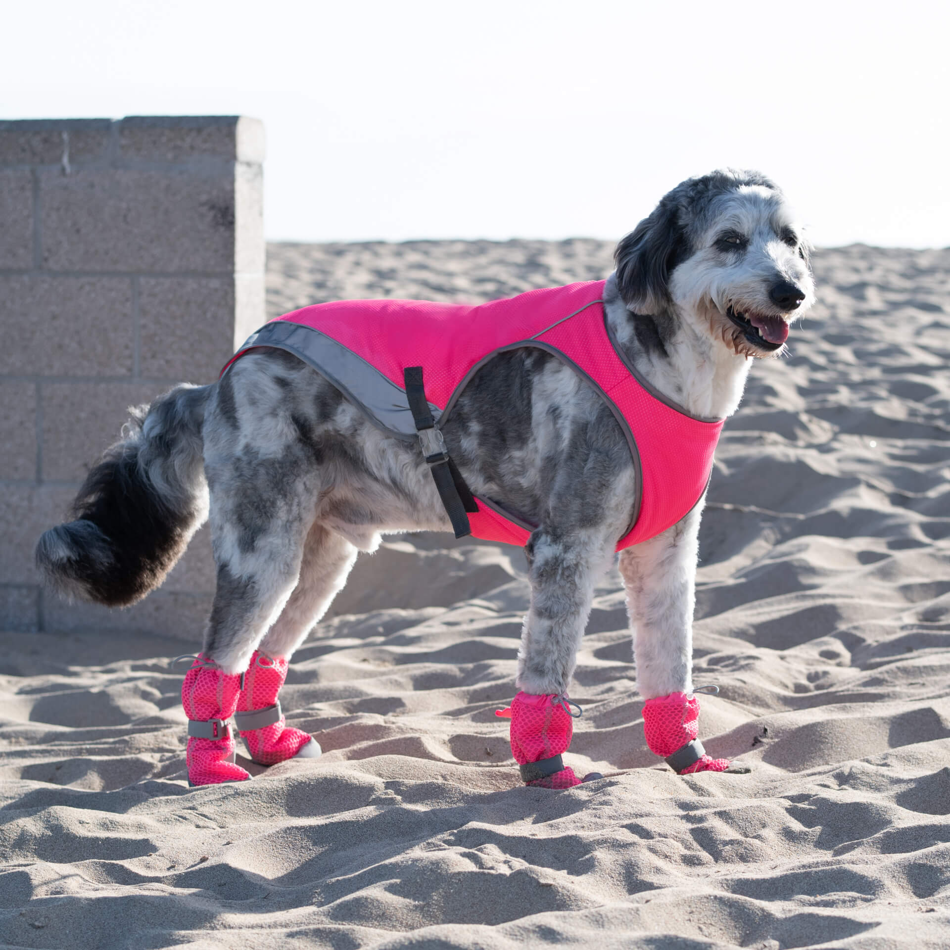 Hot Pavement Boots
