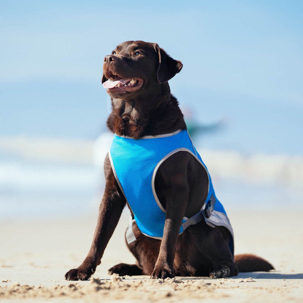 Chill Seeker Cooling Vest