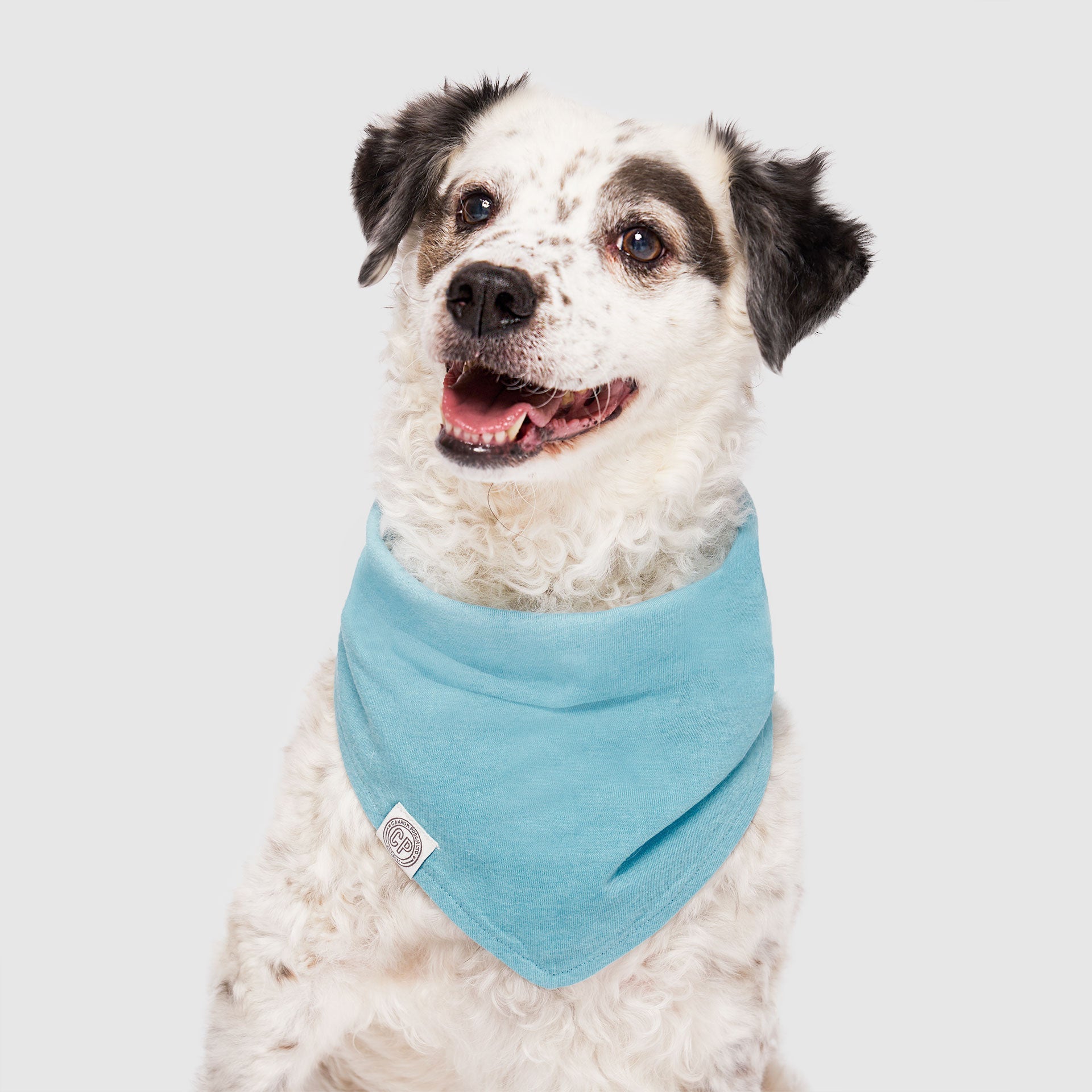 Follow Me Bandana