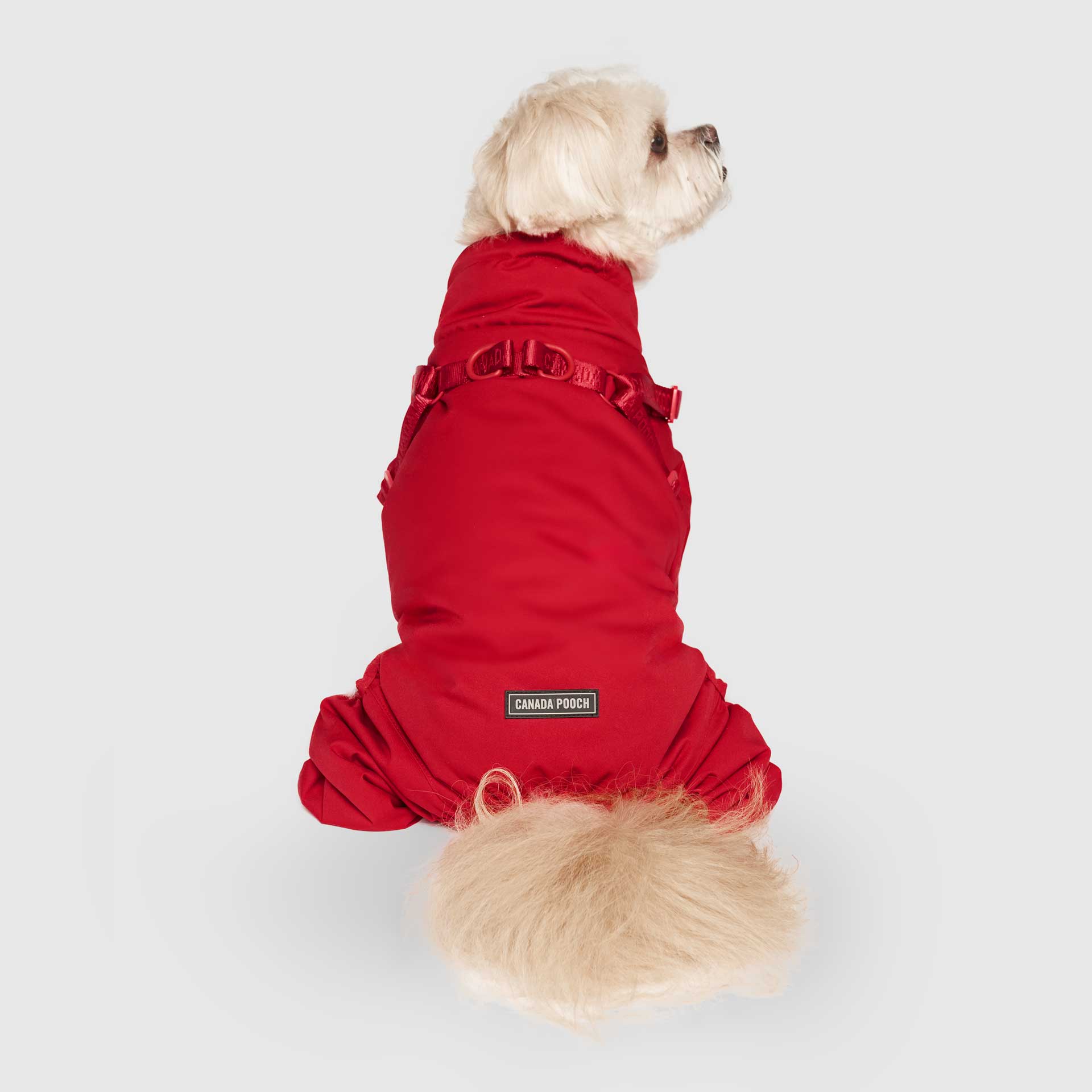 Harness Snow Suit