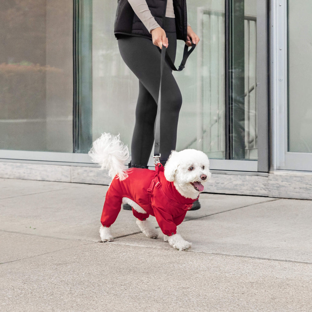 Harness Snow Suit