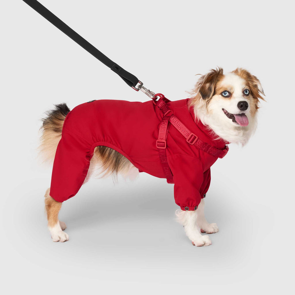 Harness Snow Suit