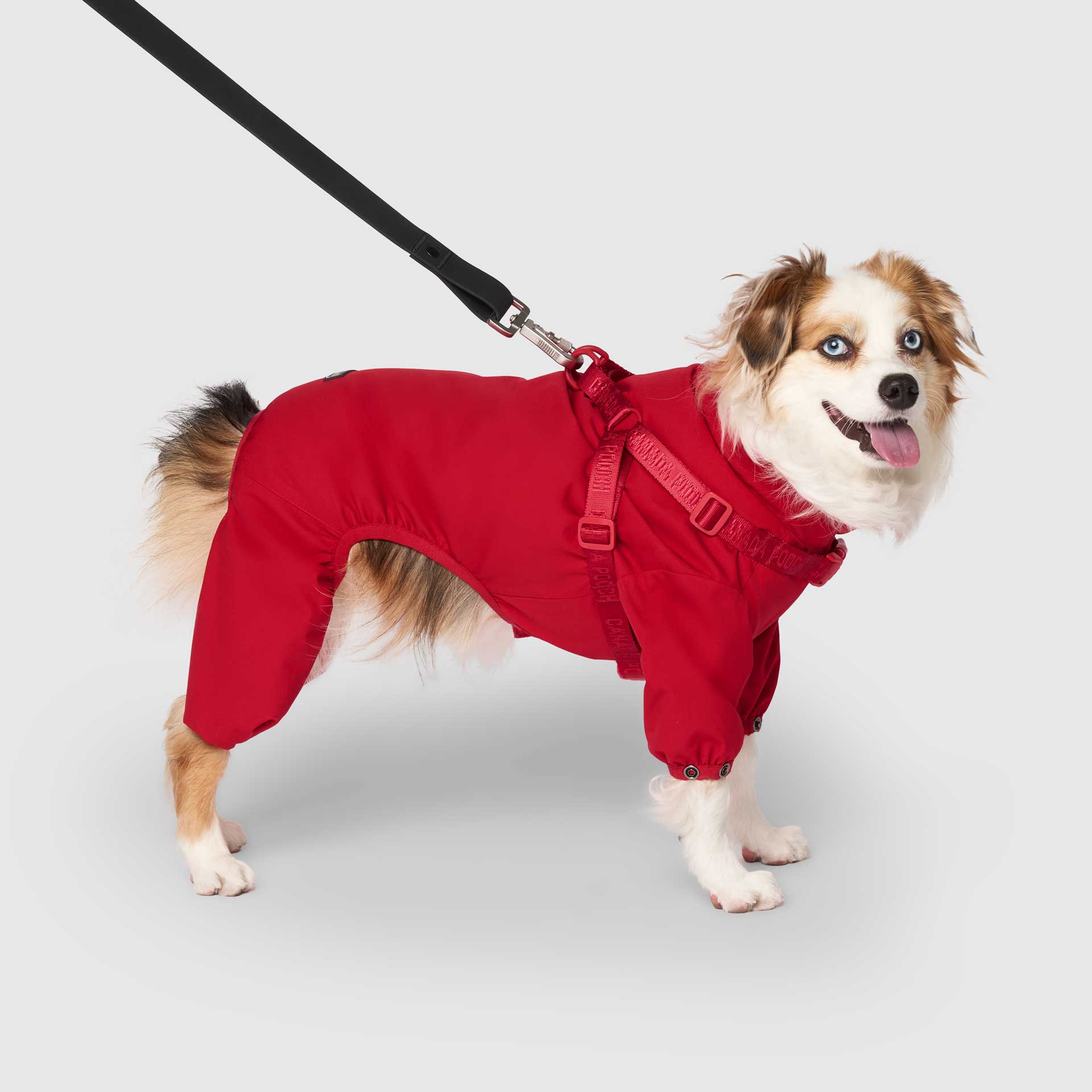 Harness Snow Suit
