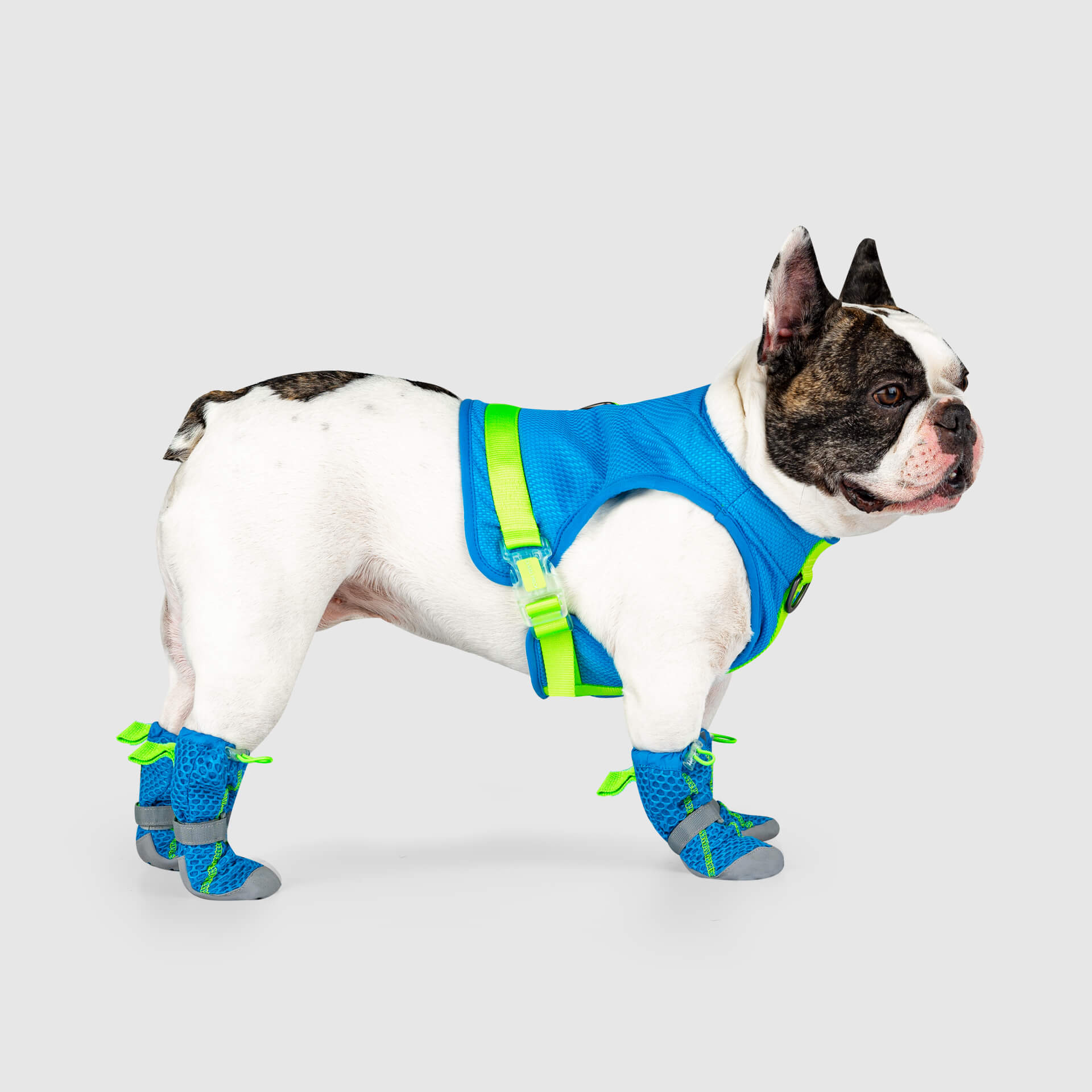 Hot Pavement Boots